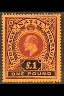 \Y NATAL\Y 1908-09 £1 Purple And Black On Red, SG 171, Very Fine Mint.  For More Images, Please Visit Http://www.sandafa - Non Classés