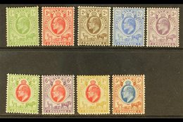 \Y ORANGE RIVER COLONY\Y 1903-04 Complete Set, SG 139/147, Mainly Fine Mint, The 1s With Faults. (9 Stamps) For More Ima - Non Classificati