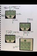 \Y 1913-24 KING'S HEADS COLLECTION\Y STAMPS, CONTROL BLOCKS & MINOR VARIETIES On Values To 5s, Presented On Album Pages. - Unclassified