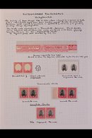 \Y 1929 DARMSTADT TRIALS\Y Nice Group Of Items Written Up On An Album Page, We See Hunter-Penrose Dummy Cigarette Label  - Unclassified