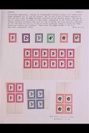 \Y POSTAGE DUES\Y 1950-8 STUDY COLLECTION - IDEAL FOR DISPLAY, Written Up On Pages, With Mint Set, Numerous Blocks Of Fo - Non Classés