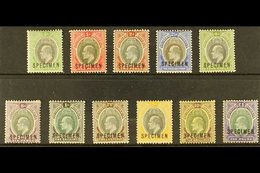 \Y 1903-04\Y KEVII Definitive "SPECIMEN" Overprinted complete Set, SG 10s/20s, Fine Mint (11 Stamps) For More Images, Pl - Nigeria (...-1960)