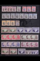 \Y 1924-1964 FINE MINT COLLECTION\Y On Stock Pages, Includes 1924-29 Most Vals To 2s6d Incl ½d (x3) & 1d (x3) Imperf To  - Rhodesia Del Sud (...-1964)