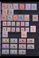 \Y 1898-1951 MINT COLLECTION\Y On Stock Pages, ALL DIFFERENT, Includes 1898 Set, 1902-21 Vals To 2p Black & Blue And 5p, - Sudan (...-1951)