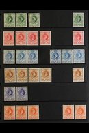 \Y 1938-54 MINT / NHM DEFINITIVE HOARD\Y Presented On A Pair Of Stock Pages With Shade & Perforation Variants. Includes  - Swaziland (...-1967)