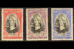 \Y 1938\Y Accession Complete Set Perforated "SPECIMEN", SG 71/s73s, Never Hinged Mint. (3 Stamps) For More Images, Pleas - Tonga (...-1970)