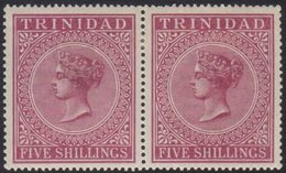 \Y 1883-94\Y 5s Maroon, Wmk Crown CC, Perf.14, In A Pair, SG 113, Very Fine Mint. For More Images, Please Visit Http://w - Trinité & Tobago (...-1961)