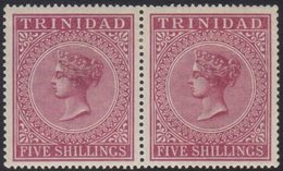 \Y 1883-94\Y 5s Maroon, Wmk Crown CC, Perf.14, In A Pair, SG 113, Very Fine Mint. For More Images, Please Visit Http://w - Trindad & Tobago (...-1961)