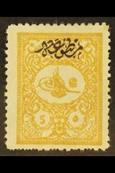 \Y 1901\Y 5pi Yellow-buff Foreign Mail With Printed Matter Overprint (Michel 113 A, SG N194), Fresh Mint, Some Shortish  - Autres & Non Classés