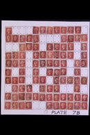 \Y 1864-79 PENNY RED PARTIAL PLATE RECONSTRUCTION\Y PLATE 78 - A Partly Complete Used Reconstruction With 180 Of The 240 - Other & Unclassified