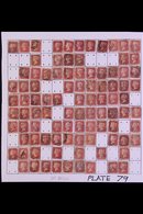 \Y 1864-79 PENNY RED PARTIAL PLATE RECONSTRUCTION\Y PLATE 79 - A Partly Complete Used Reconstruction With 182 Of The 240 - Autres & Non Classés