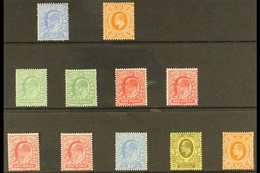 \Y 1911\Y Harrison & Sons Mint Selection Inc P14 2½d And 4d, Plus The Perf 15 X 14 Set Of Five Plus ½d & 1d Shades (11 S - Unclassified