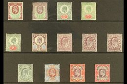 \Y 1911-13\Y Somerset House Mint Selection On A Stock Card With 1½d X2, 2d X3, 5d, 6d X3, 7d, 9d, And 10d X2, Etc. Lovel - Unclassified