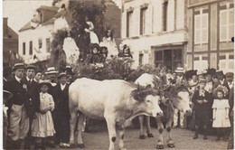 Delcampe - BREHAL - Attelage De Boeufs Tirant Un Char - Belle Carte-Photo Animée - Brehal