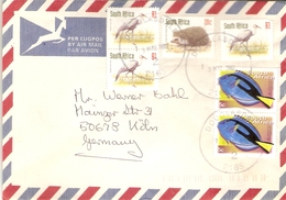 Afrique Du Sud 2002 - Lettre Par Avion/ By Air Mail De Douglasdale à Cologne/Köln - Affranchissement Composé - Lettres & Documents