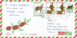 Ethiopia 2005 Wolaitasodo Tree Vachellia Abyssinica Bushbuck Cover - Ethiopie