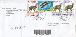 Ethiopia 2005 Woreta Freshwater Catfish Fish Bushbuck Registered Cover - Ethiopie