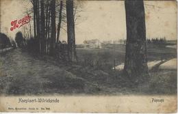 Hoeylaert-Wilriekende    Paysage  (Zie Scan.)   1900 - Höilaart