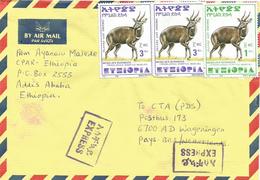 Ethiopia 2007 Addis Ababa Bushbuck Express Cover - Ethiopie