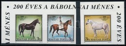 ** 1989 200 éves A Bábolnai Ménes ívsarki Vágott Sor, Benne Pár (3.500) - Sonstige & Ohne Zuordnung