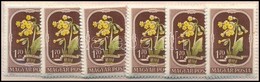 ** 1951 Virág II. 6 Db Sor (10.200) - Autres & Non Classés