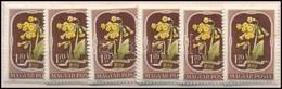 ** 1951 Virág II. 6 Db Sor (10.200) - Sonstige & Ohne Zuordnung