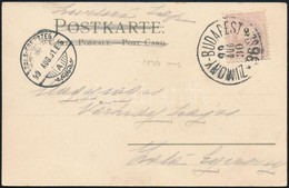 1899 - Other & Unclassified