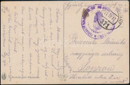 1917 Tábori Posta Képeslap / Field Postcard 'FERENCZY SZÁZAD...' + 'FP 371' - Other & Unclassified