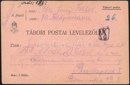 ~1918 Tábori Posta Levelezőlap / Field Postcard '...HONVÉD GYALOG HADOSZTÁLY...' + 'IX 26' - Autres & Non Classés