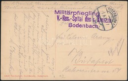 1915 Tábori Posta Képeslap 'V.-Res.-Spital Des R. Kreuzes Bodenbach' - Altri & Non Classificati