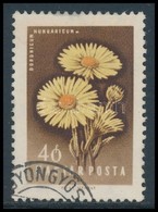O 1958 Virág 40f, Fehér Folt A Virág Neve Után Tévnyomat - Altri & Non Classificati