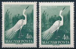 ** 1959 Madarak 40f Fehér Lábú Kócsag + Támpéldány - Other & Unclassified