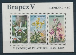 ** 1982 Brapex Bélyegkiállítás Orchideák Blokk Mi 49 - Other & Unclassified