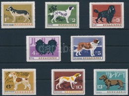 ** 1964 Kutyák Sor,
Dogs Set
Mi 1462-1469 - Sonstige & Ohne Zuordnung