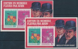 ** 1971 Repülők és Virágok Fogazott és Vágott Blokk Mi 21A+B - Altri & Non Classificati