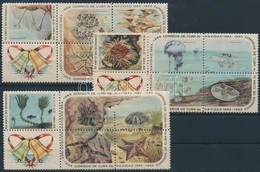 ** 1964 Karácsony: Korallok Sor Négyestömbökben (2C Gumihiba),
Christmas: Corals Set (2C Gum Disturbance)
Mi  973-987 - Other & Unclassified