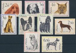 ** 1963 Kutyák Sor,
Dogs Set
Mi 1374-1382 - Andere & Zonder Classificatie