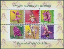 ** 2007 Vadon élő Orchideák Kisív Mi 6174-6179 A - Sonstige & Ohne Zuordnung