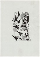 Szász Jelzéssel: Levelek, Formák. Tus, Papír, 17×11 Cm - Autres & Non Classés