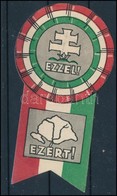 1920 Irredenta Kitűző R! - Ohne Zuordnung