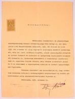 Cca 1930-1950 Judaika és Szocialista Okmány Gyűjtemény. Kb 35 Db Igazolvány, Párt Dokumentum, Származási Igazolvány és E - Unclassified