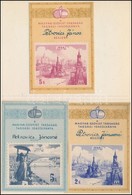 1954-1955 A Magyar-Szovjet Társaság Tagsági Igazolványa, 3 Db - Non Classés