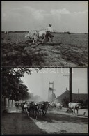 Cca 1950 Kotnyek Antal (1921-1990) 4 Db Szocreál Vintage Fotója, Köztük Egy Pecséttel Jelzett, 18x24 Cm - Andere & Zonder Classificatie