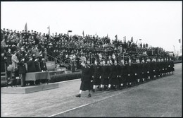 1952 Szocialista Tisztavatási ünnepély, Későbbi Előhívás, 11,5×18 Cm - Other & Unclassified