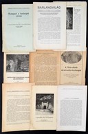 Cca 1930 Barlangászati Témájú Különlenyomatok, Cikkek Gyűjteménye, Nagyrészt Kadič Ottokár Munkái, Néhány Közülük Dediká - Non Classés