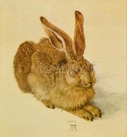 Reprint, Albrecht Dürer: Mezei Nyúl, Ofszet, üvegezett Keretben, 27×24 Cm - Ohne Zuordnung