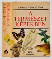 J. Toman-J. Felix-K. Hísek: A Természet Képekben. Környezetünk Növény- és állatvilága. Bp.,1983,Natura. Második, Változa - Unclassified