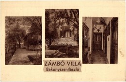 ** T2/T3 Bakonyszentlászló, Zámbó Villa, Külső és Belső Nézet, Vadásztrófeák (EK) - Unclassified