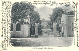 T2/T3 1900 Budapest II. Lipótmező, Lipótmezei Tébolyda, Elmegyógyintézet. Kosmos (EK) - Unclassified