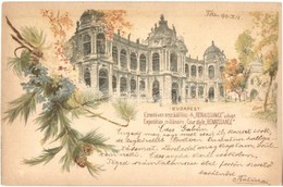 T2 1899 Budapest XIV. Városliget, Ezredéves Országos Kiállítás, Reneszánsz Udvar, Litho Barna 2 Kr. Ga. S: Cserna K. (EK - Zonder Classificatie